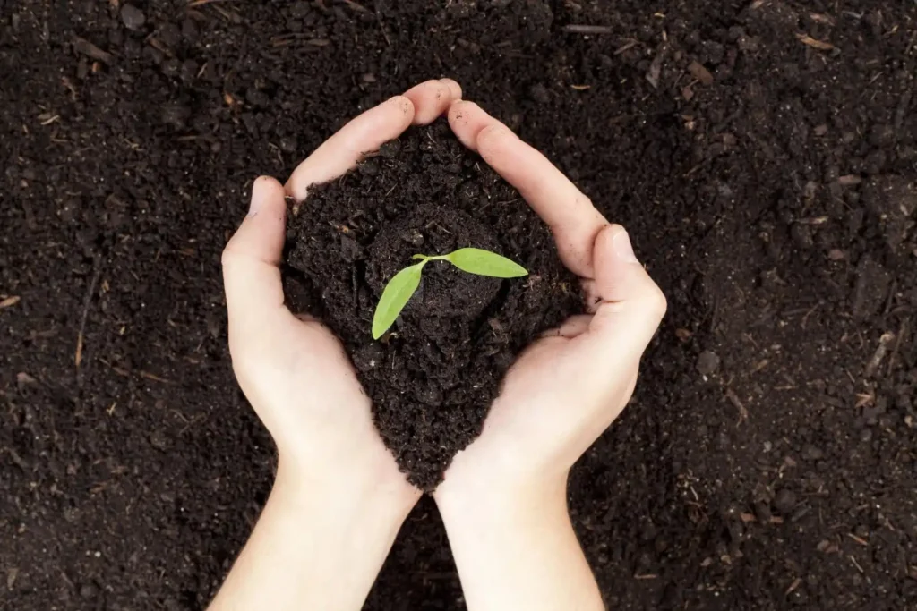 Bioodpady bez plastiku. Dlaczego czysty brązowy pojemnik ma tak duże znaczenie?